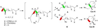 Regioselective ring opening of aziridine for synthesizing azaheterocycle